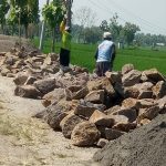 Desa Munggut, Kecamatan Padas :  DD Untuk Pembangunan TPT