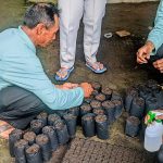 Pelatihan Untuk Tambah Wawasan, Bidang Tanam Tembakau