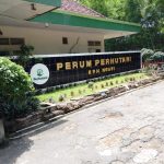 Soal KDMP :  Untuk Alih Fungsi Wilayah Hutan ke Bangunan Itu Wewenang Pusat.