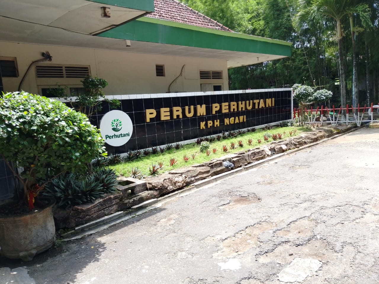 Soal KDMP :  Untuk Alih Fungsi Wilayah Hutan ke Bangunan Itu Wewenang Pusat.